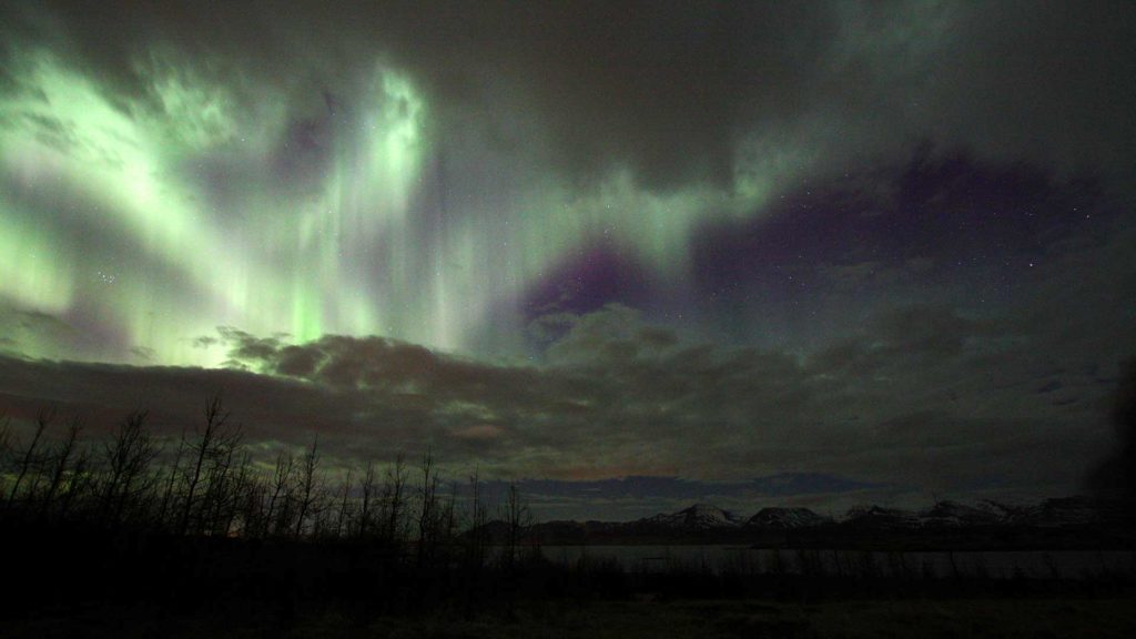Aurora Forecast in Iceland Tonight
